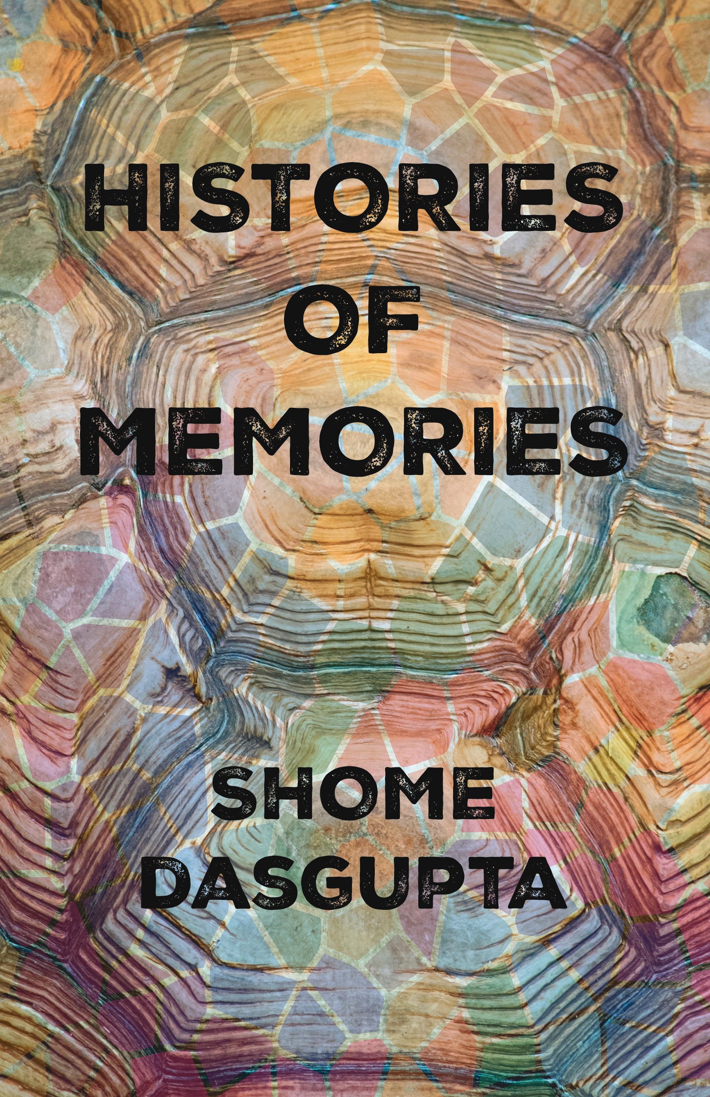 Histories of Memories