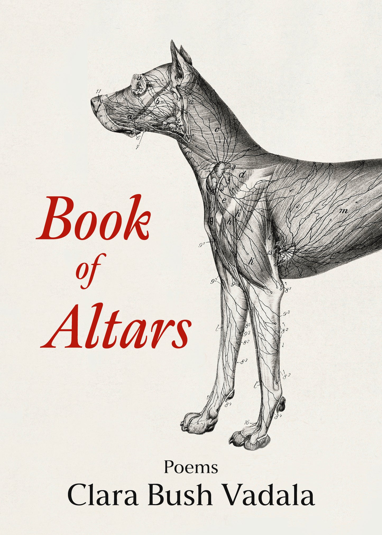 PRE-ORDER: Book of Altars