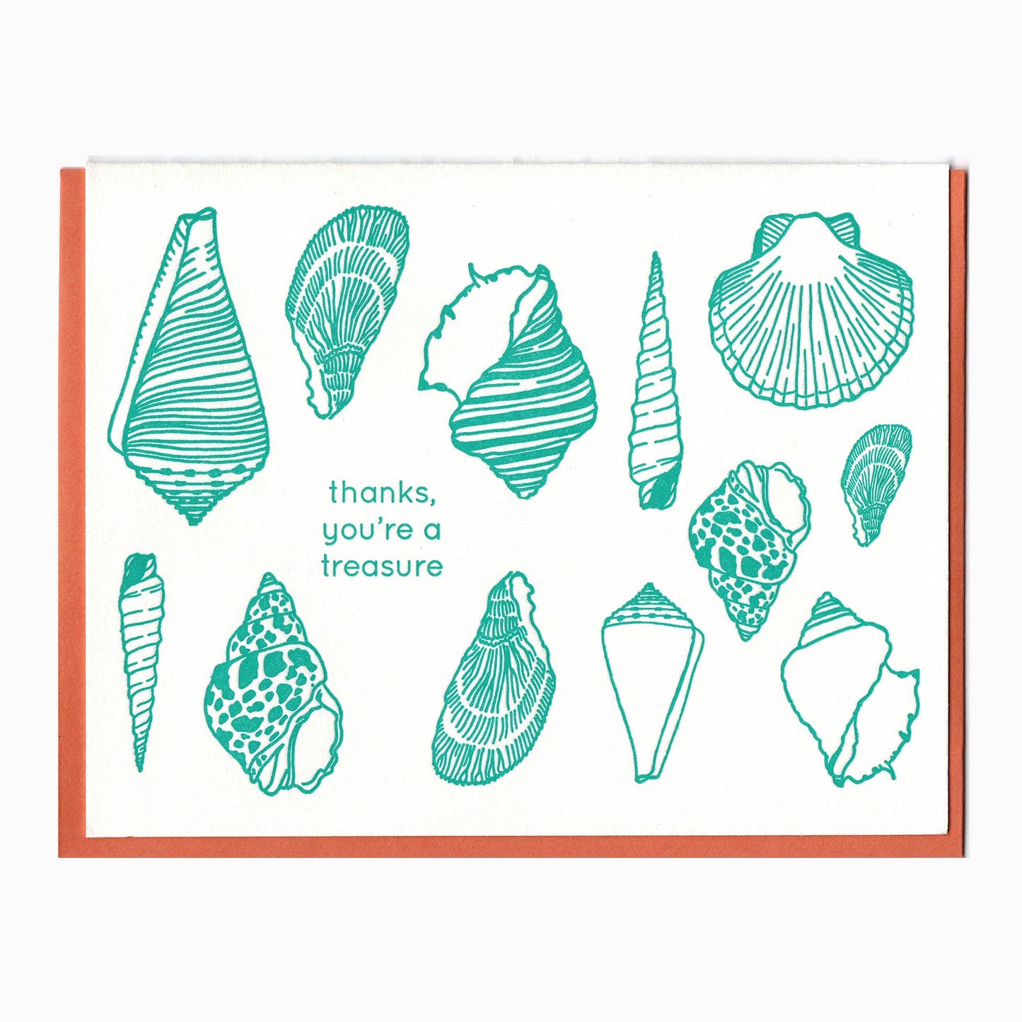 seashells thank you card